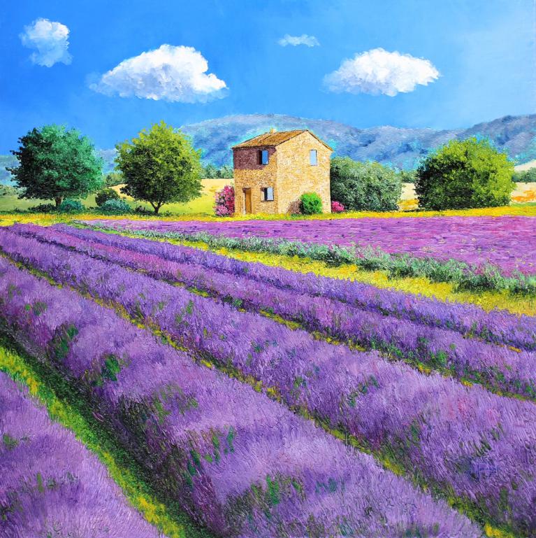 Lavender house 80x80 cm