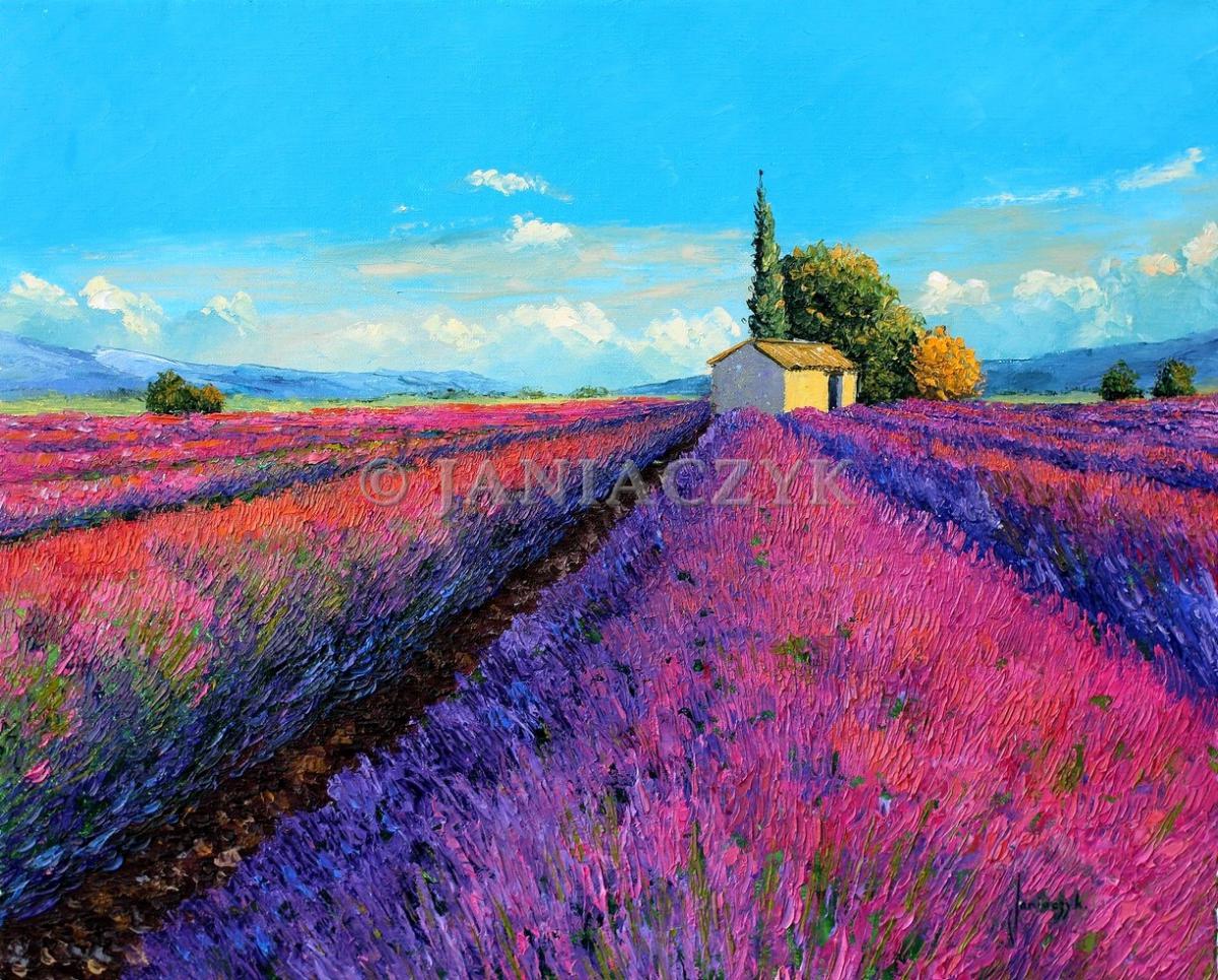 Evening light on the lavender - Lumière du soir sur les lavandes. peinture au couteau de Jean-Marc Janiaczyk