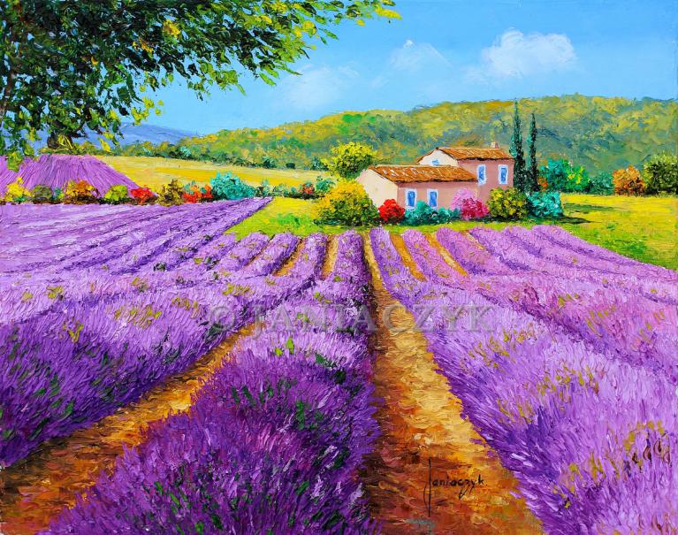 Lavender field under the linden 30x40 cm
