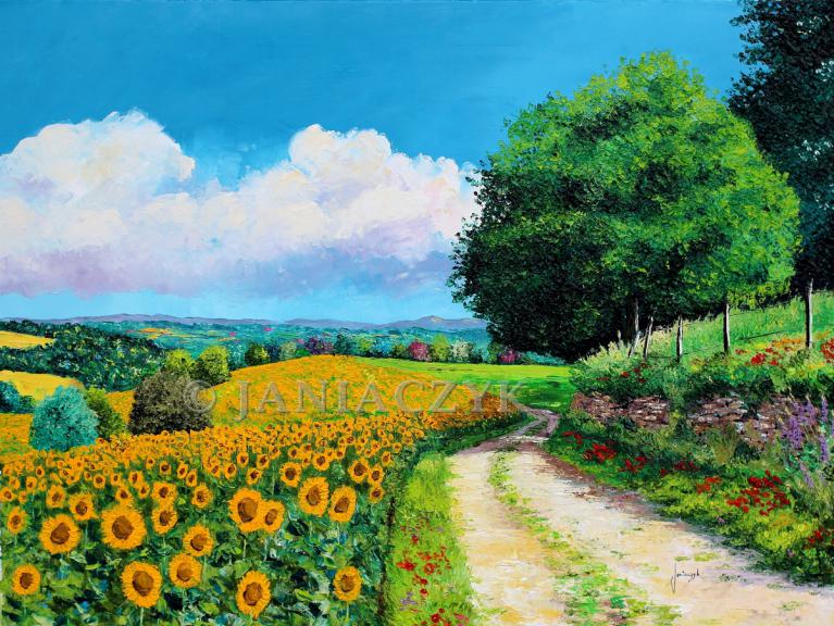 Sunflowers season