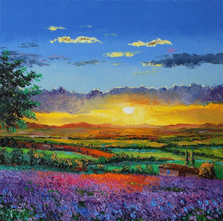 Sunset on purple wildflowers 60x60 cm