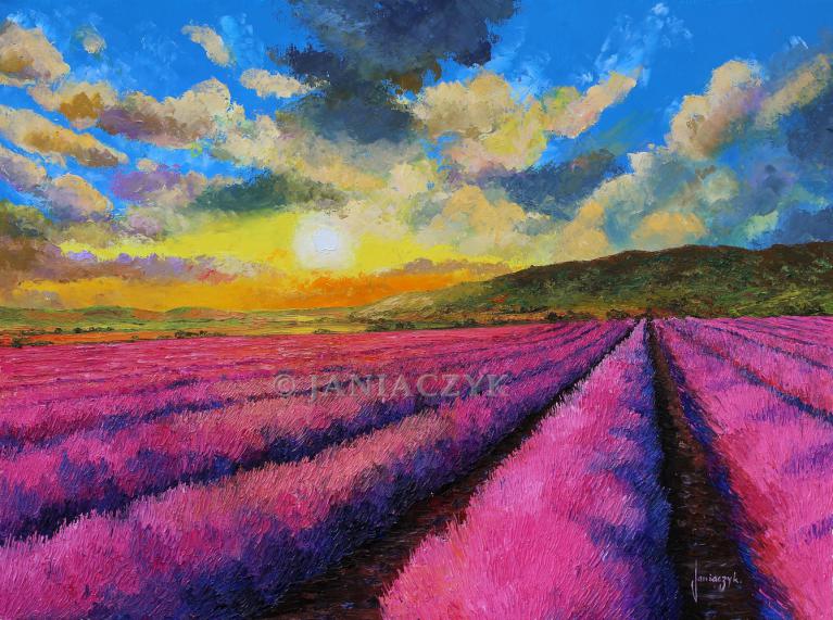 Sunset over the lavender field  60x80 cm